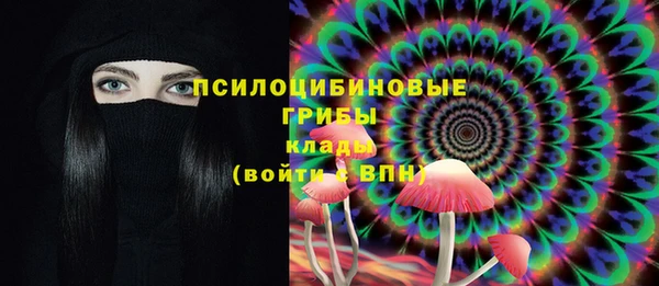 эйфоретик Арсеньев